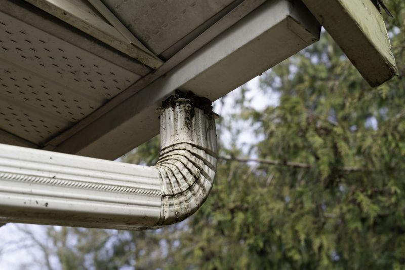 Gutter and Downspout Maintenance