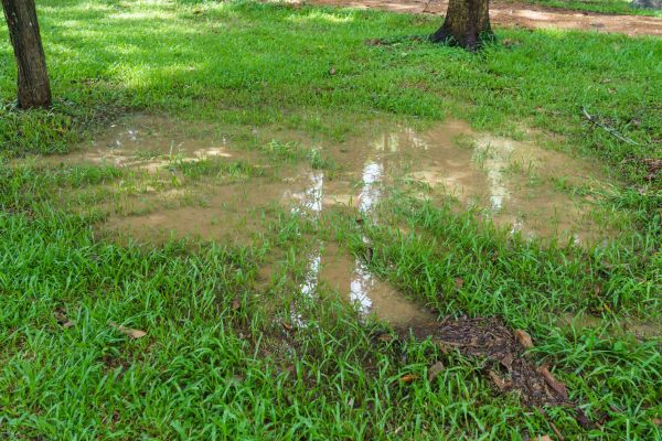Storm Water Drainage Service in Findlay