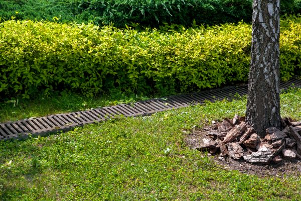 Residential Landscape Drainage in Findlay