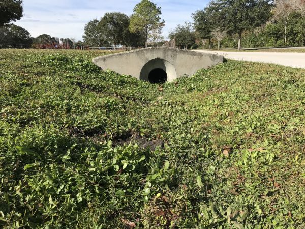 Cost of Swale Drainage Service in Findlay